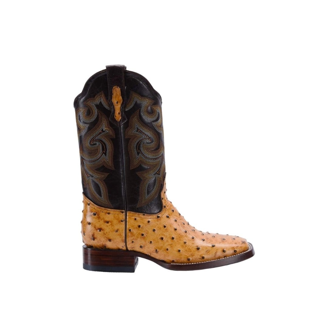 BD701 Rodeo Boot Ostrich Clone Mantequilla