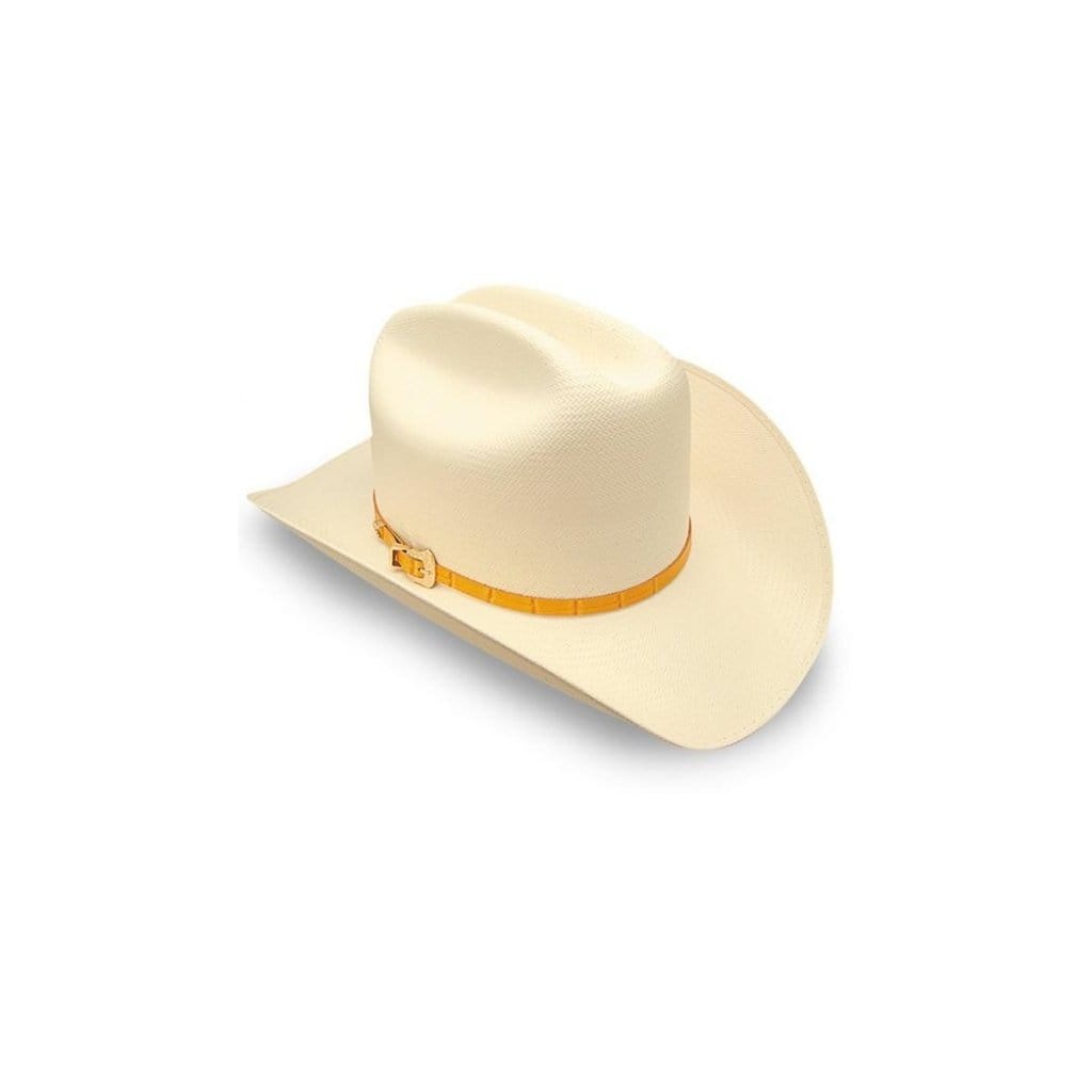 RD100 Natural Hat 100 X