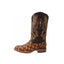 136 Chedron Rodeo Boots Piraruccu Print (Width EE Wide- Half size less recommended)